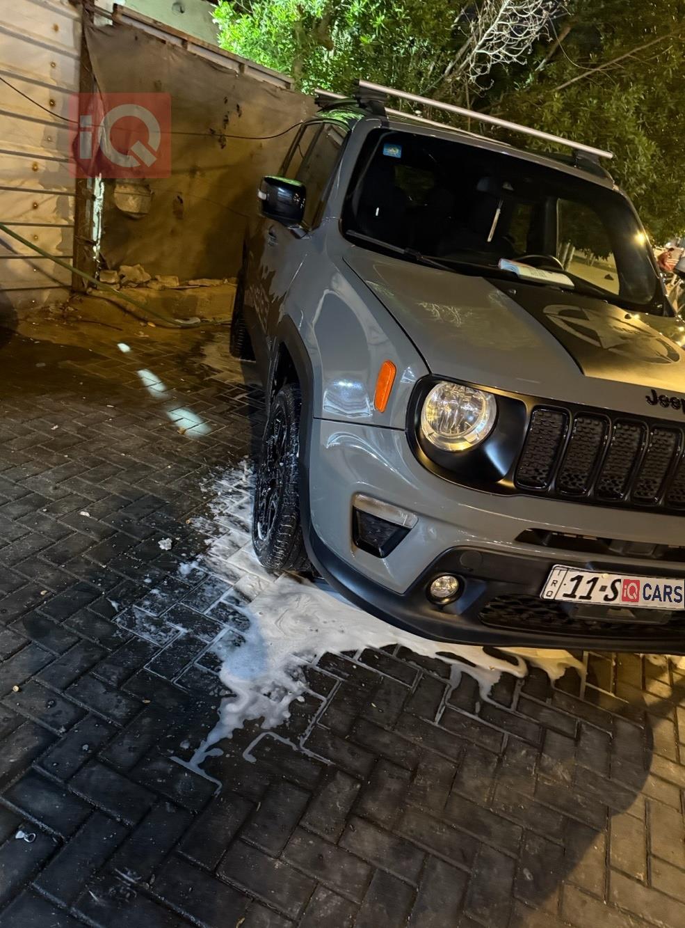 جيب رينيجيد